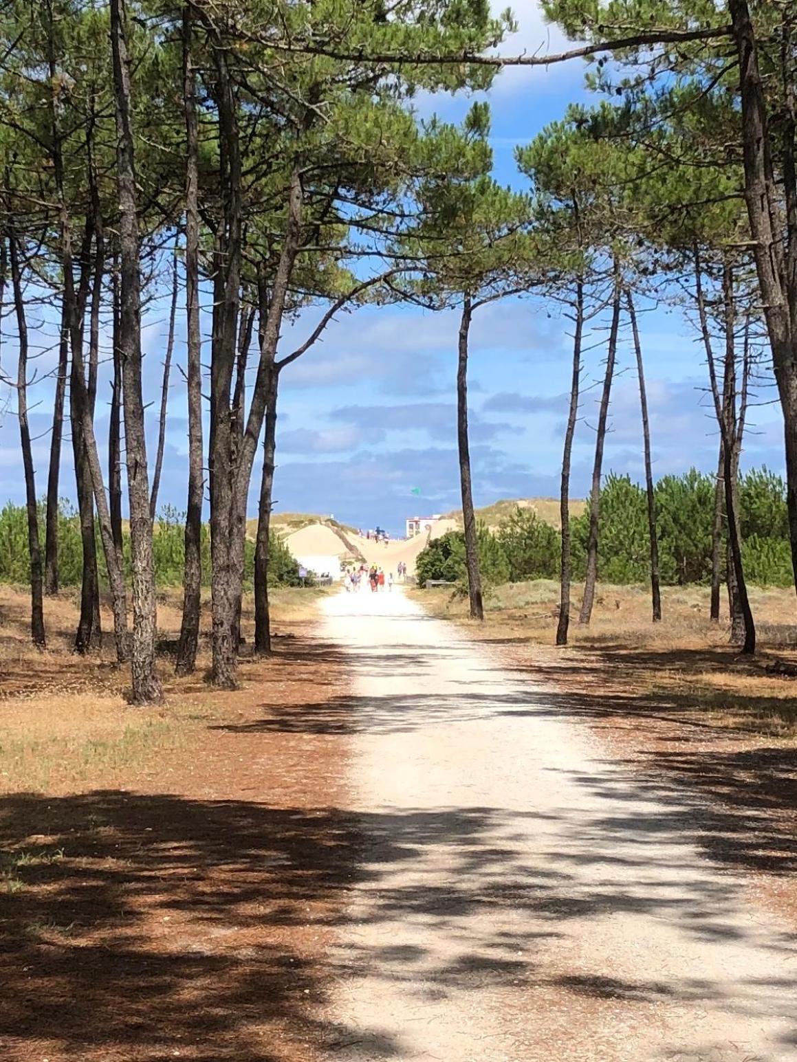 Almigeda Villa Les Mathes Dış mekan fotoğraf