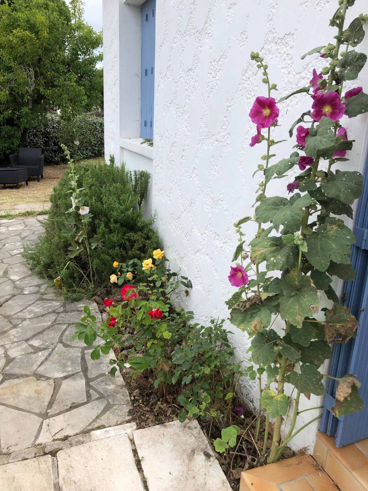 Almigeda Villa Les Mathes Dış mekan fotoğraf
